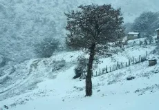 تعبیر خواب برف در پاییز + برای زن متاهل و باردار و دختر مجرد و از دید مولف