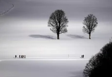 تعبیر خواب برف ابن سیرین + برای زن متاهل و باردار و دختر مجرد و از دید مولف