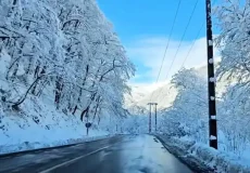 تعبیر خواب برف سفید + برای زن متاهل و باردار و دختر مجرد و از دید مولف