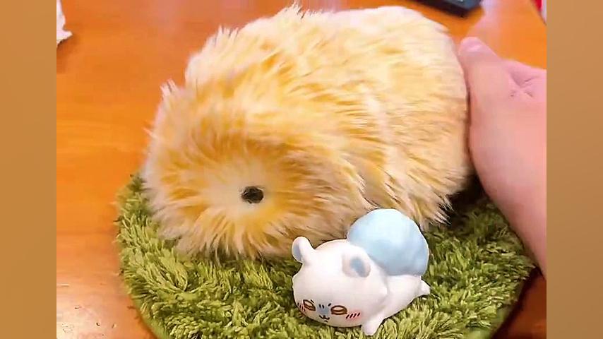 ابتکار جالب شرکت ژاپنی کاسیو در بیمارستان کودکان