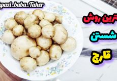 بهترین روش شستن قارچ بدون اینکه پوستش رو بگیری/شستن قارچ
