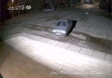 حمله گرگ به یک دانشجو در دانشگاه زنجان
