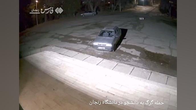 حمله گرگ به یک دانشجو در دانشگاه زنجان