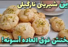 طرزتهیه شیرینی نارگیلی نرم و خوشمزه مخصوص عید/شیرینی نارگیلی