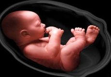 چرا جنین با خوردن شیرینی تکان می خورد؟