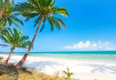 تعبیر خواب دریا در خانه + برای زن متاهل و باردار و دختر مجرد و از دید مولف