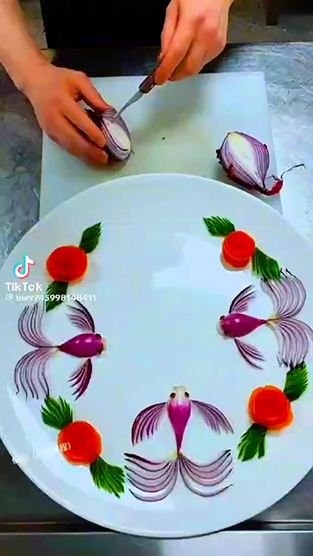 دورچین غذا با میوه ها 