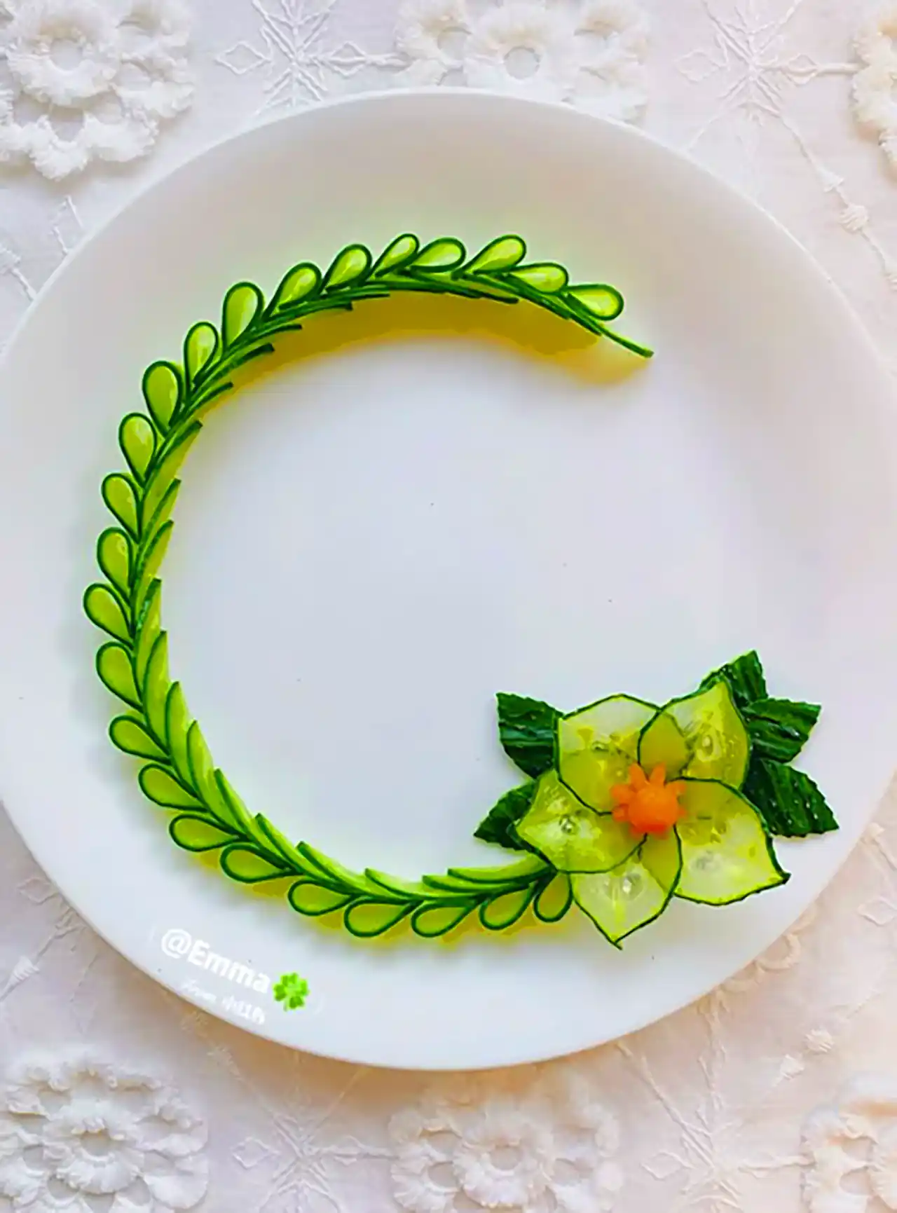 دورچین غذا با میوه ها 