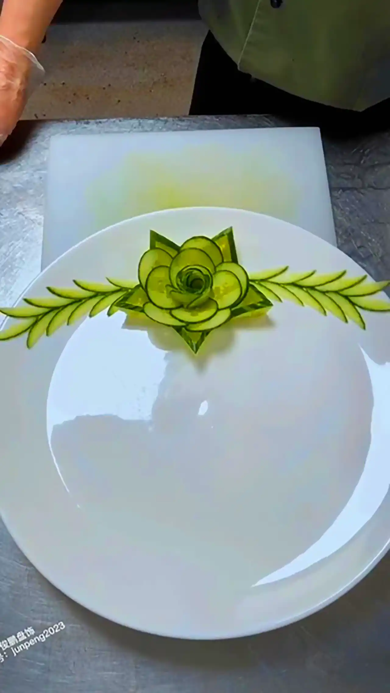 دورچین غذا با میوه ها 