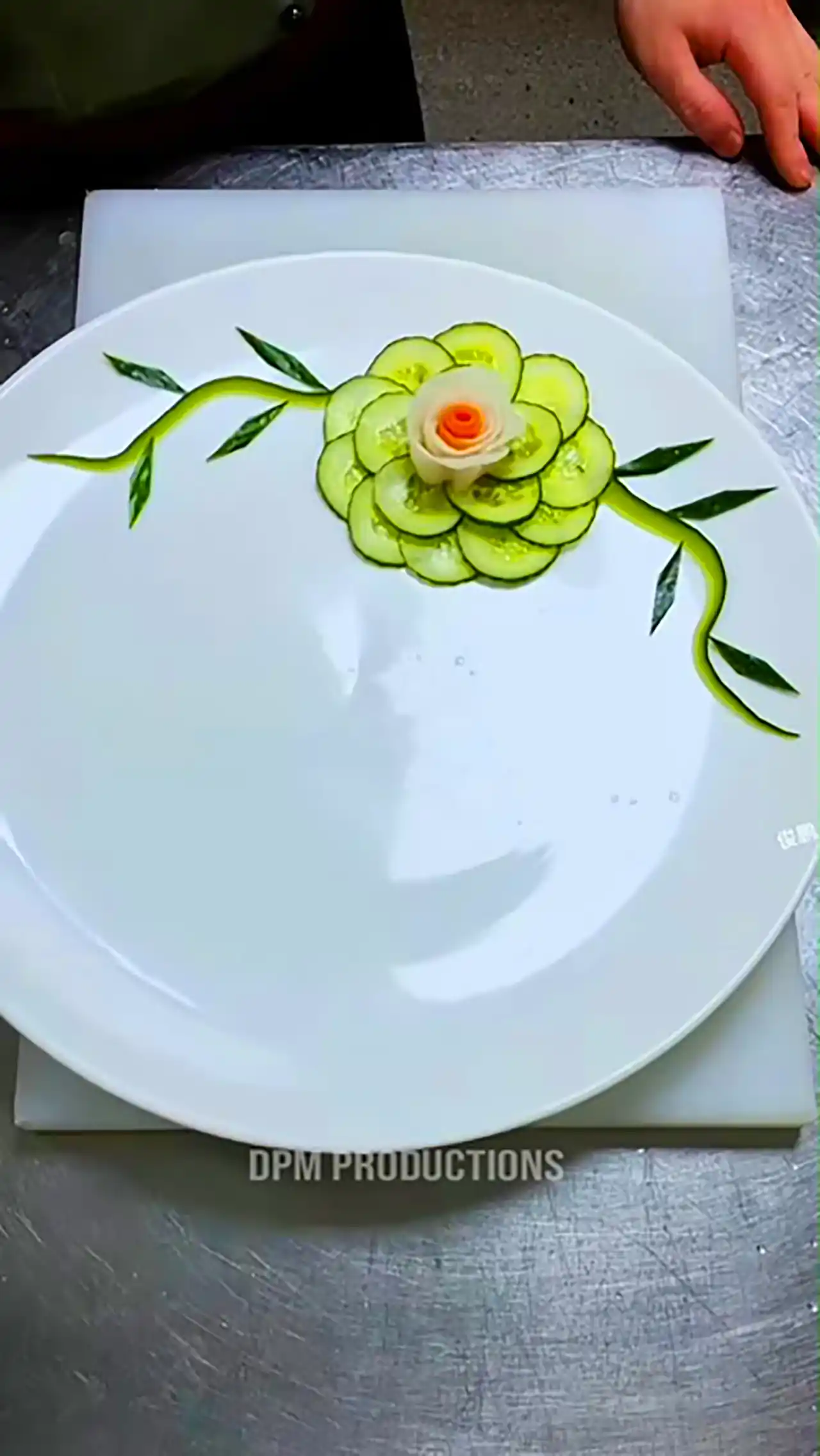 دورچین غذا با میوه ها 