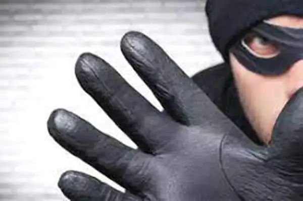 تعبیر خواب دزد در خانه برای دختر مجرد + برای زن متاهل و باردار و دختر مجرد و از دید مولف