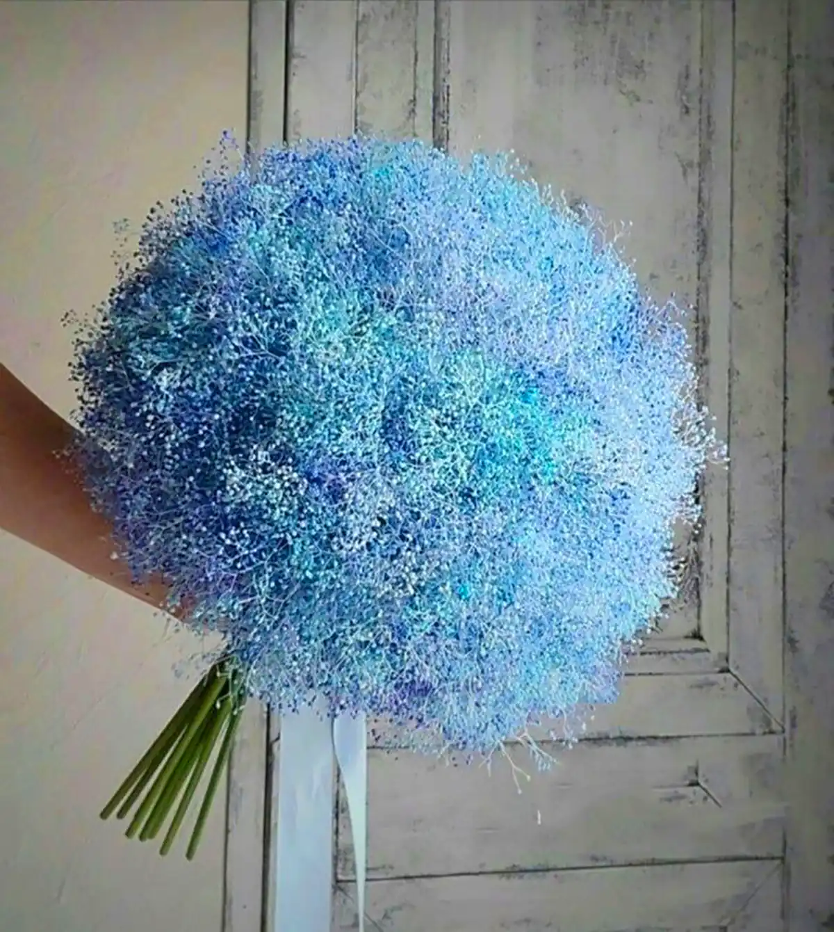 دسته گل آبی ژیسپوفیلا