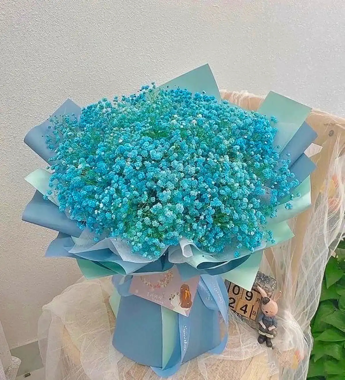 دسته گل آبی ژیسپوفیلا