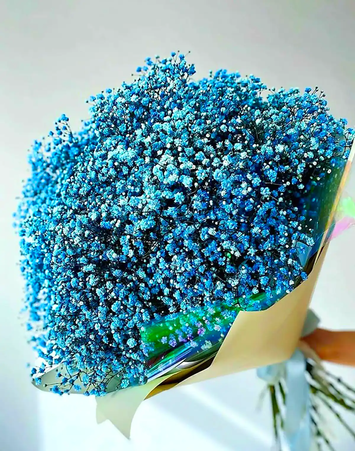 دسته گل آبی ژیسپوفیلا