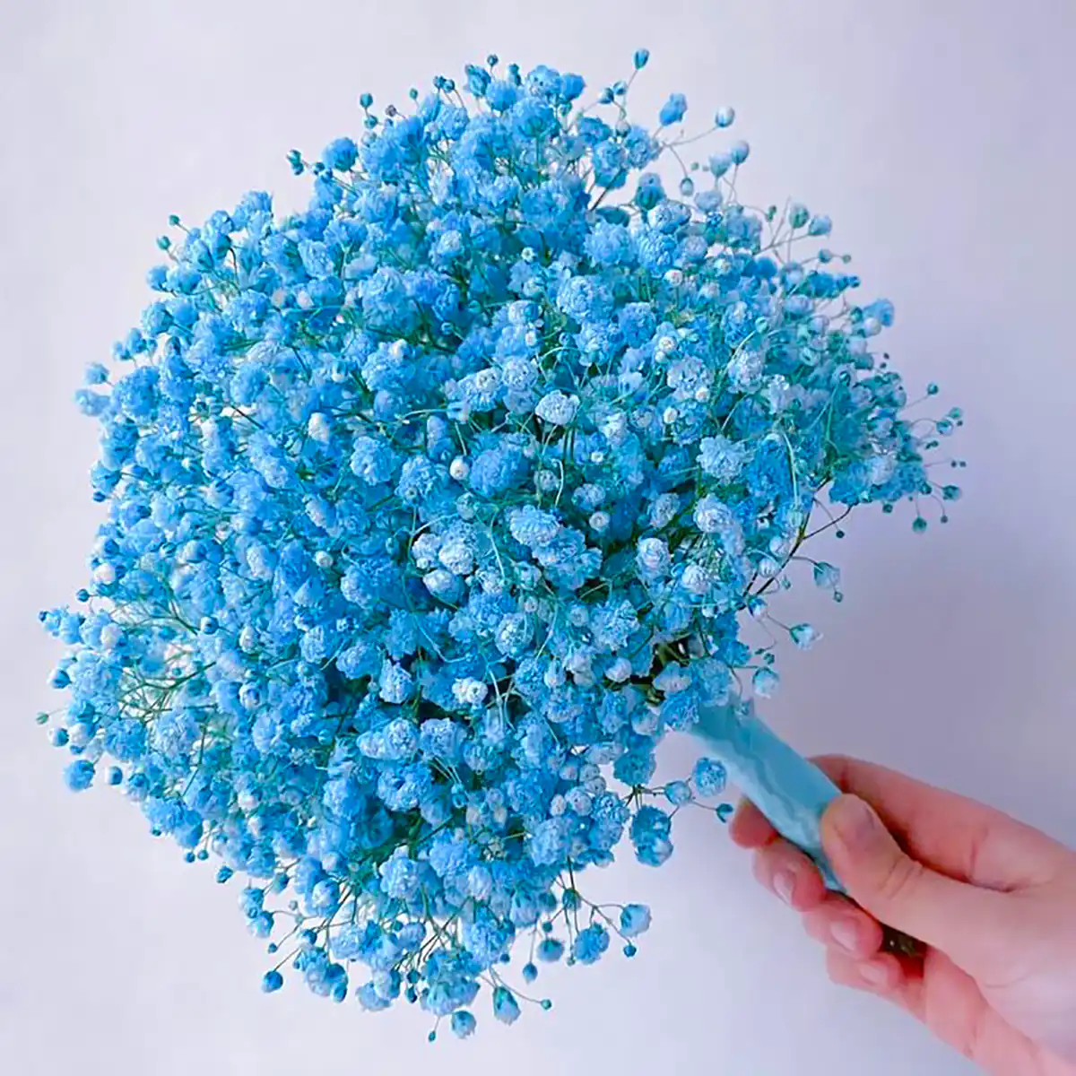 دسته گل آبی ژیسپوفیلا