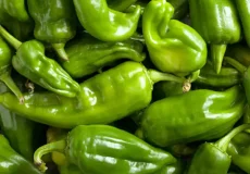 فلفل شیرین در خواب + برای زن متاهل و باردار و دختر مجرد و از دید مولف