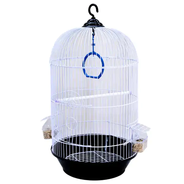 تعبیر خواب قفس ابن سیرین + برای زن متاهل و باردار و دختر مجرد و از دید مولف