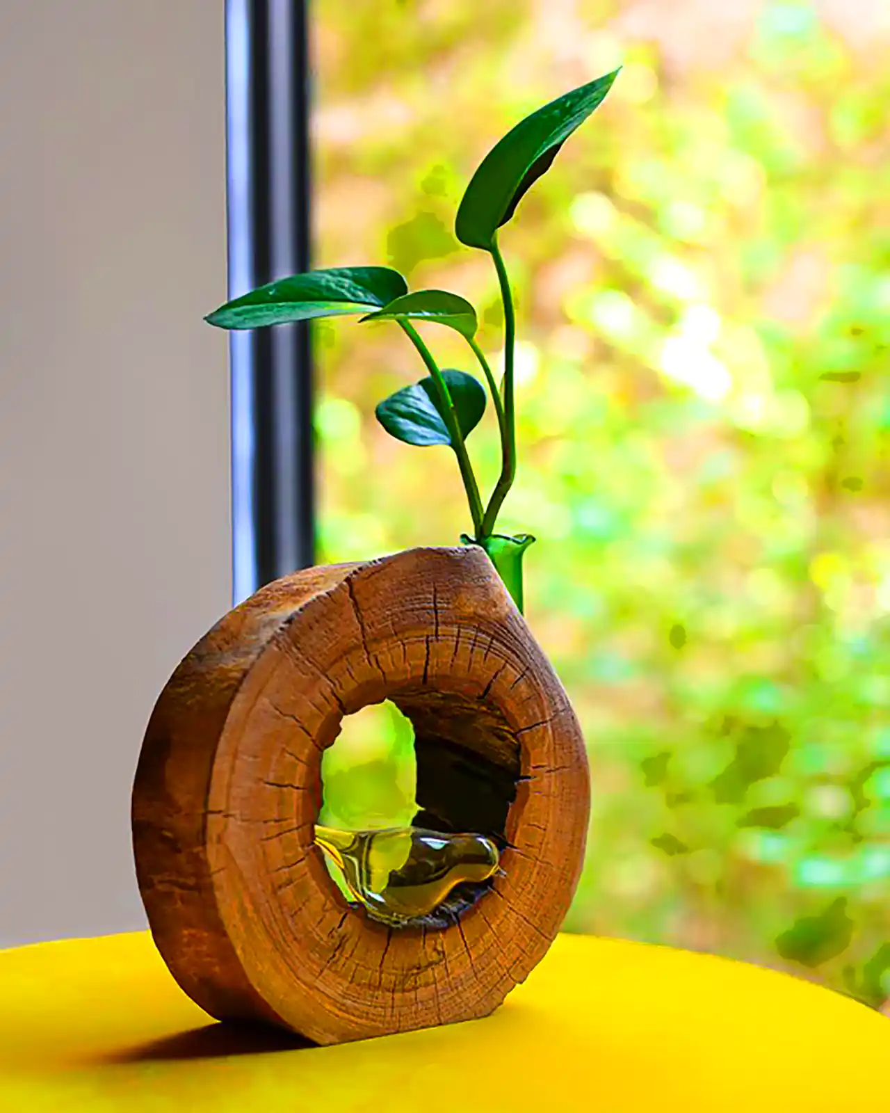 گلدان چوبی دکوری