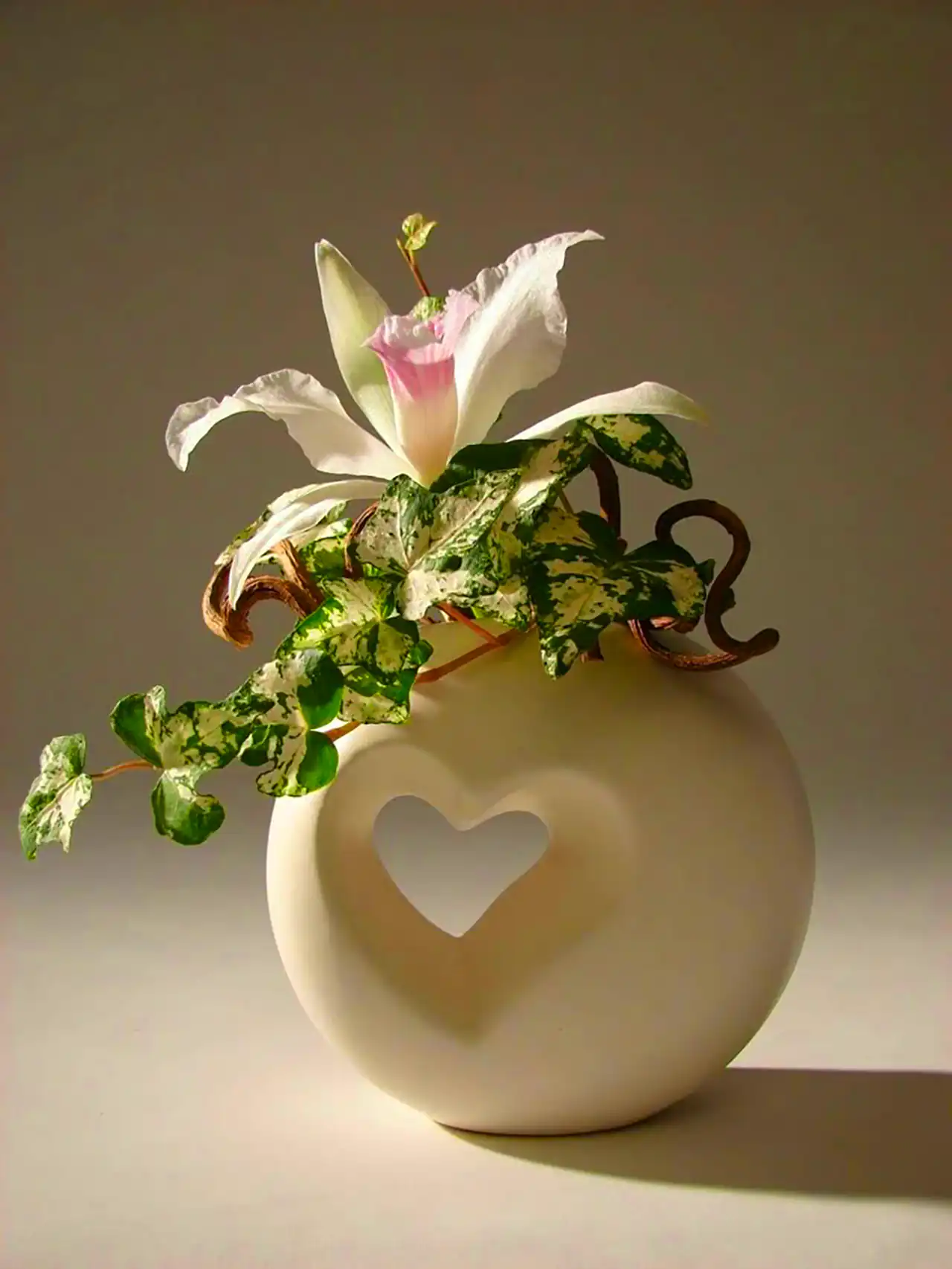 گلدان زیبا و مینیمال