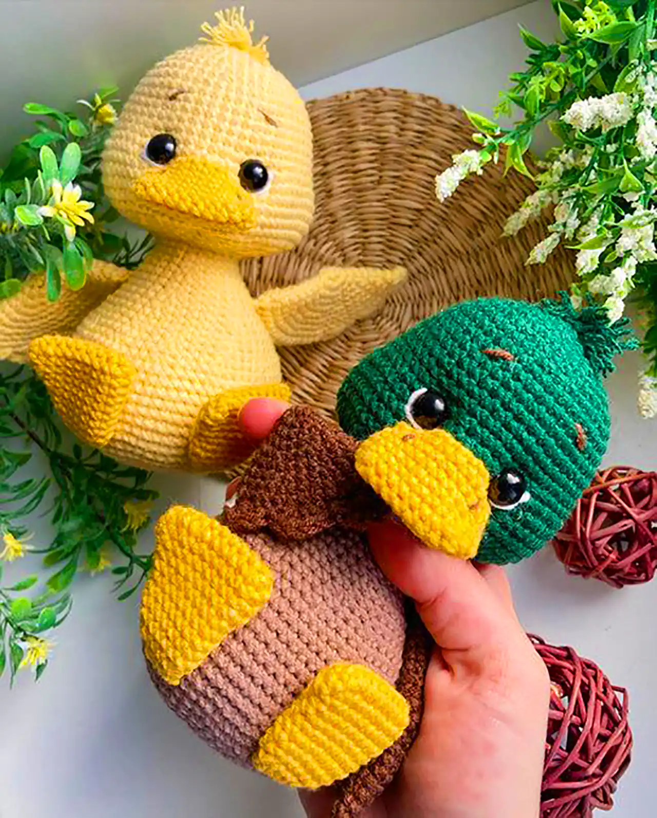 جوجه اردک با نمک بافتنی 