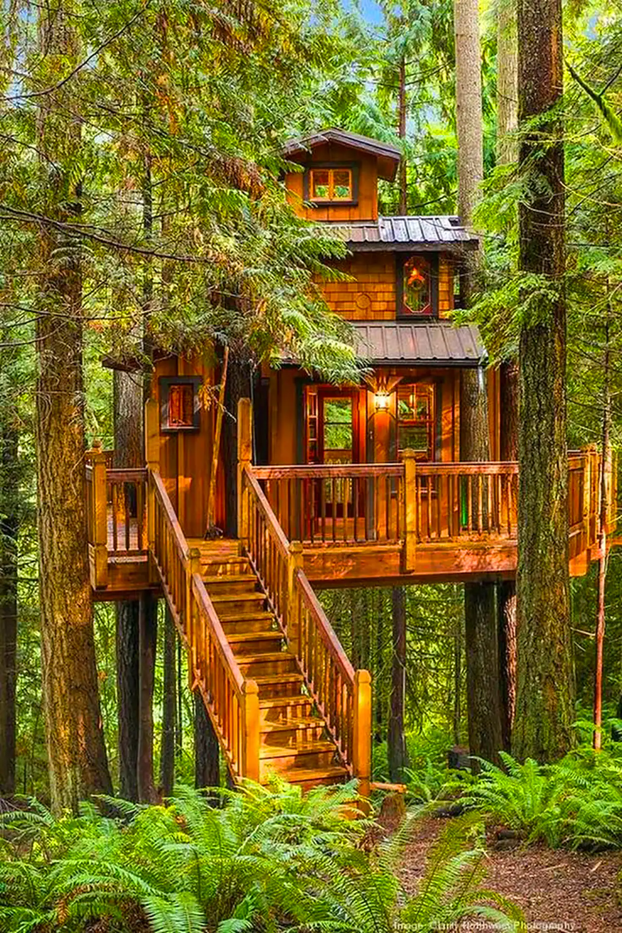 خونه درختی مدرن خاص