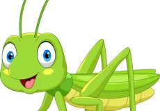 تعبیر خواب ملخ دیدن + برای زن متاهل و باردار و دختر مجرد و از دید مولف