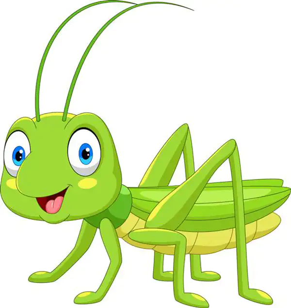 تعبیر خواب ملخ دیدن + برای زن متاهل و باردار و دختر مجرد و از دید مولف