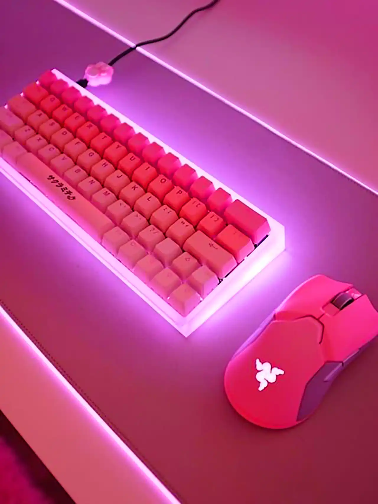 ماوس و کیبورد فانتزی