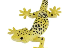 تعبیر خواب مارمولک بزرگ در خانه + برای زن متاهل و باردار و دختر مجرد و از دید مولف