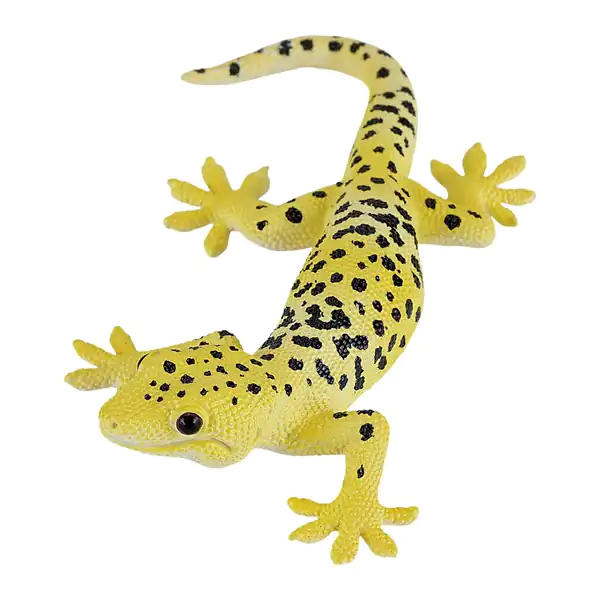 تعبیر خواب مارمولک بزرگ در خانه + برای زن متاهل و باردار و دختر مجرد و از دید مولف