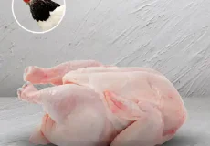 تعبیر خواب مرغ مرده + برای زن متاهل و باردار و دختر مجرد و از دید مولف