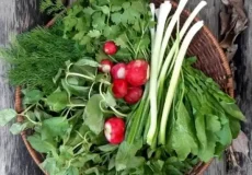 تعبیر خواب سبزی خوردن + برای زن متاهل و باردار و دختر مجرد و از دید مولف