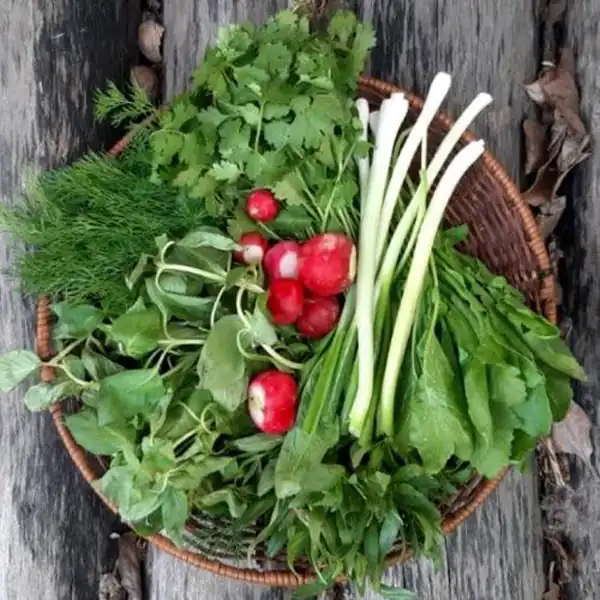 تعبیر خواب سبزی خوردن + برای زن متاهل و باردار و دختر مجرد و از دید مولف