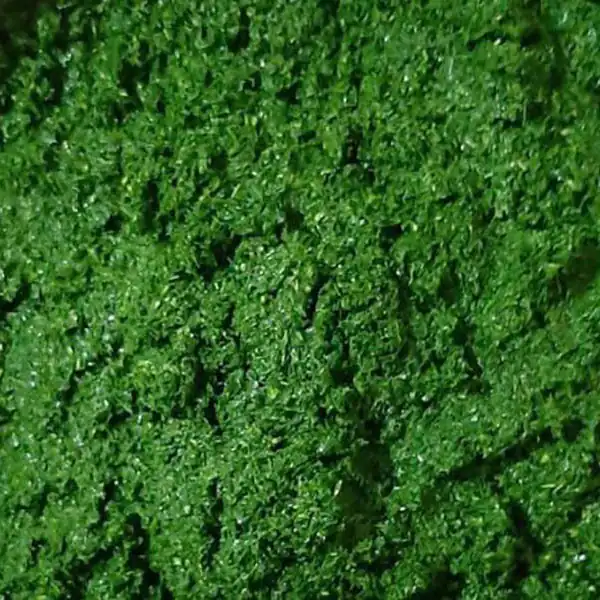 تعبیر خواب سبزی خورشتی خریدن + برای زن متاهل و باردار و دختر مجرد و از دید مولف