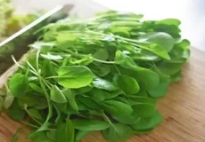 تعبیر خواب سبزی شاهی + برای زن متاهل و باردار و دختر مجرد و از دید مولف