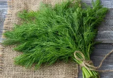 تعبیر خواب سبزی شوید + برای زن متاهل و باردار و دختر مجرد و از دید مولف