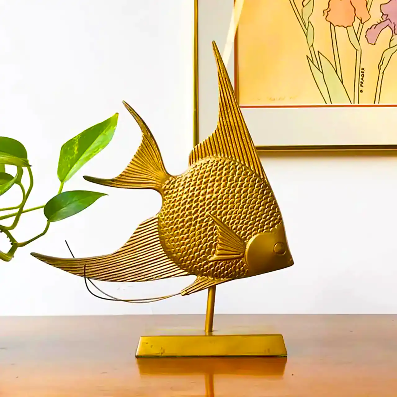 شیپ مدرن دکوراتیو