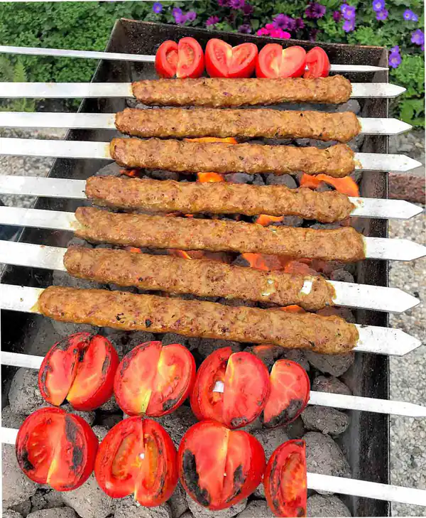 تعبیر خواب سیخ آهنی + برای زن متاهل و باردار و دختر مجرد و از دید مولف