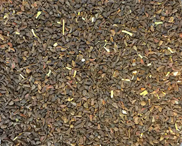 تعبیر خواب اسپند هدیه گرفتن + برای زن متاهل و باردار و دختر مجرد و از دید مولف