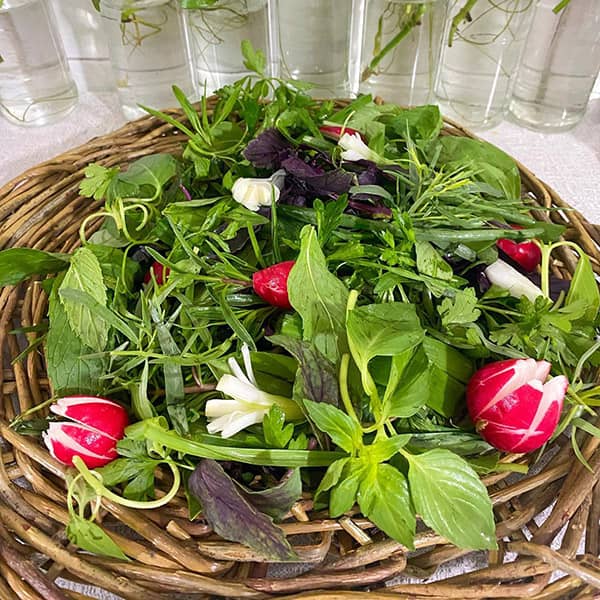 روش تازه نگه داشتن سبزی خوردن برای مدت طولانی