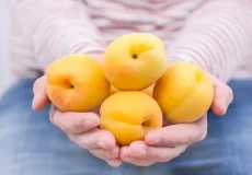 تعبیر خواب زردآلو ابن سیرین + برای زن متاهل و باردار و دختر مجرد و از دید مولف